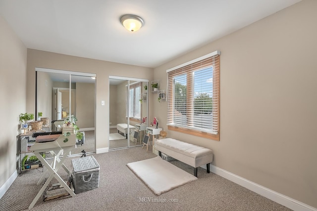 living area with carpet and baseboards