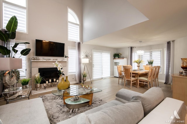 living room with wood finished floors, a healthy amount of sunlight, baseboards, and a premium fireplace