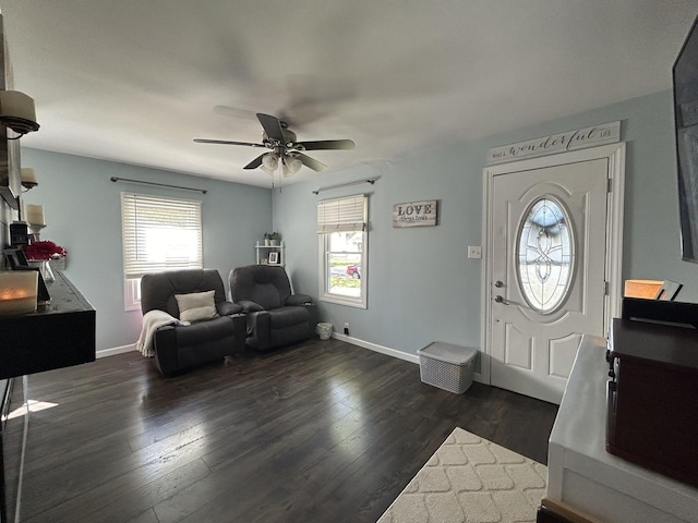 foyer entrance with a healthy amount of sunlight, dark wood finished floors, and baseboards