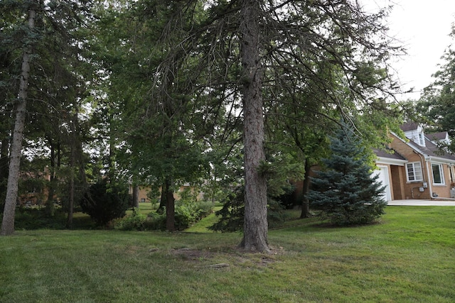 view of yard with a garage