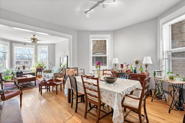 dining space with light wood-type flooring, ceiling fan, and track lighting