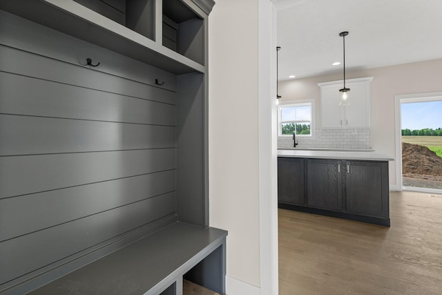 605 Wheatley Dr, Mahomet, IL 61853 - mudroom featuring light wood-type flooring, healthy amount of natural light, recessed lighting, and a sink