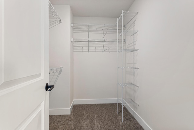 605 Wheatley Dr, Mahomet, IL 61853 - spacious closet featuring carpet floors