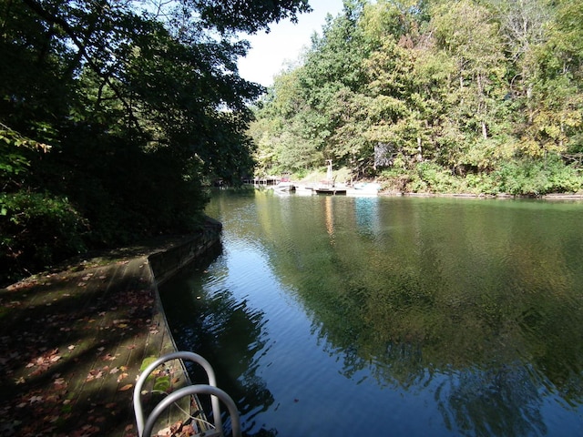 water view with a forest view