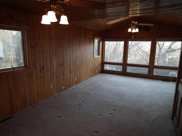 carpeted empty room with wood walls and a wealth of natural light