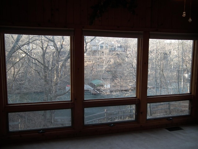 room details with carpet and visible vents