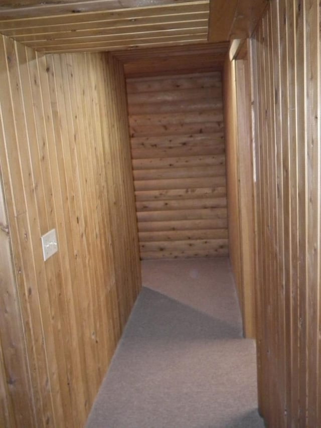 corridor featuring rustic walls and carpet flooring