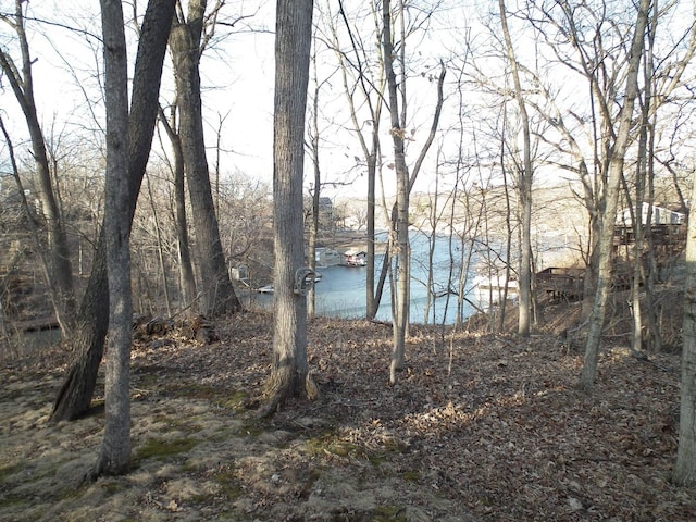 view of water feature