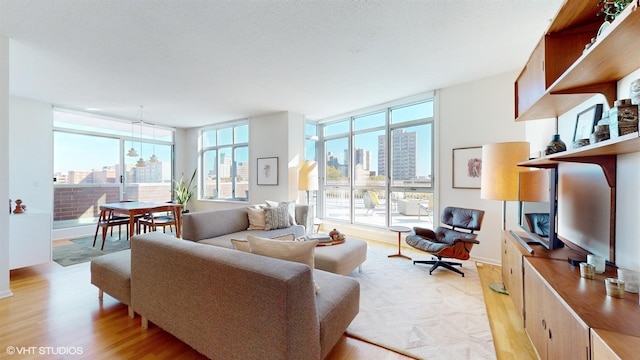 living room featuring floor to ceiling windows and light wood-style flooring