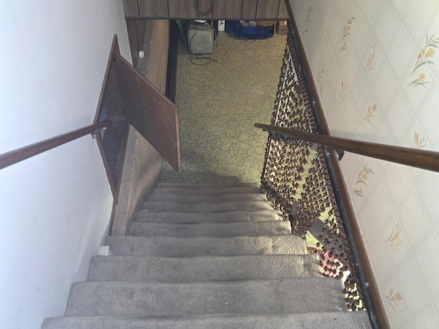 stairway with carpet