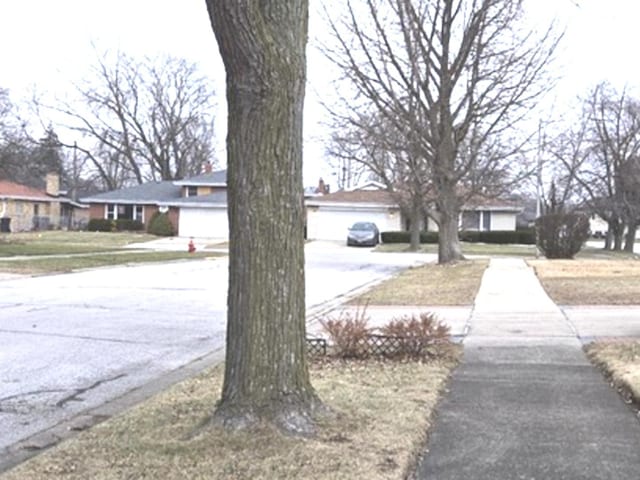 view of street featuring sidewalks