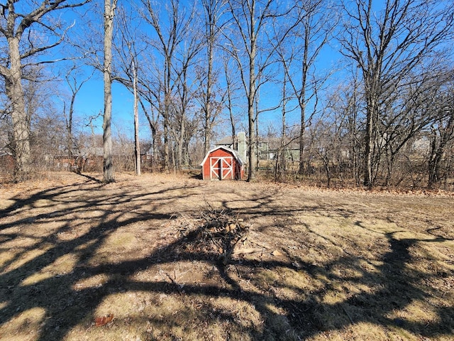 view of yard with an outbuilding and a storage unit