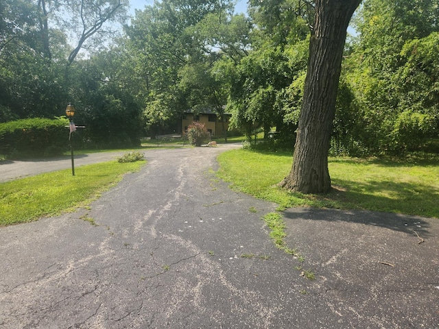 view of street featuring driveway