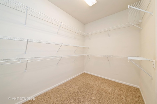 spacious closet with carpet