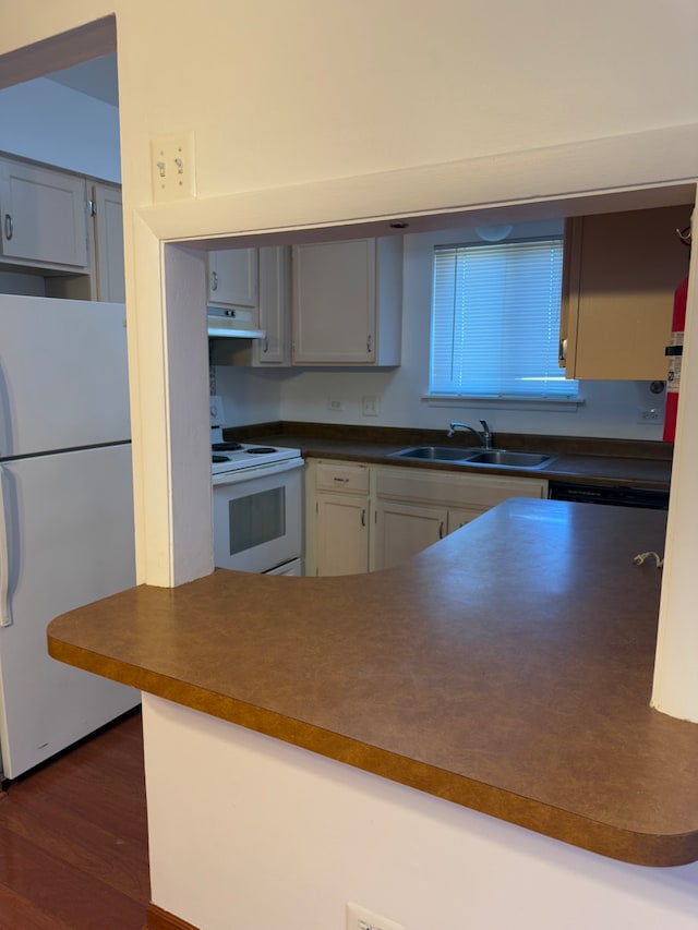 kitchen with white appliances, dark countertops, dark wood-type flooring, under cabinet range hood, and a sink