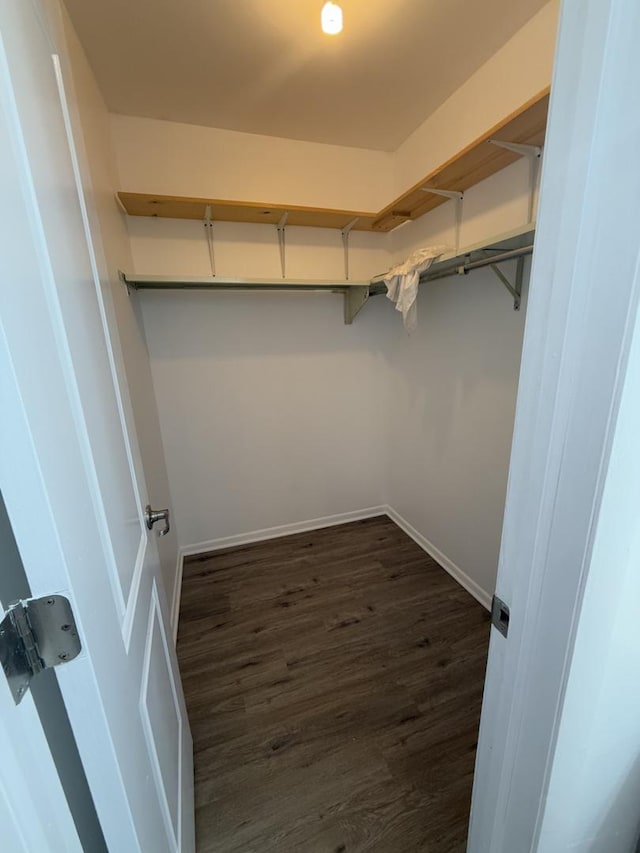 walk in closet featuring dark wood-style flooring