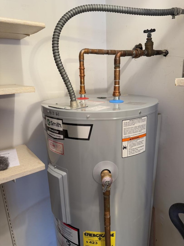 utility room with electric water heater