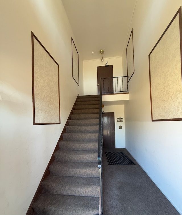 staircase featuring carpet flooring