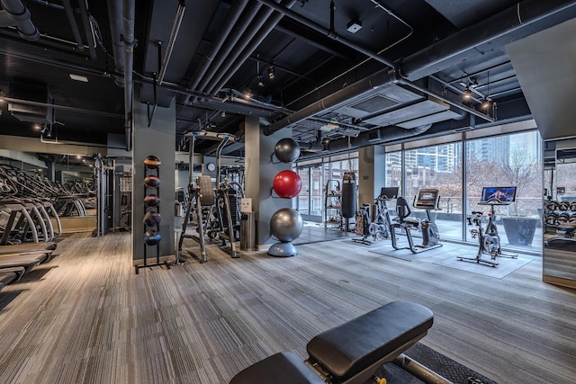 exercise room featuring carpet floors and floor to ceiling windows