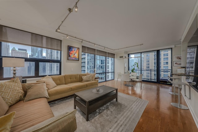 living room with a wall of windows, wood finished floors, and track lighting