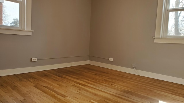 spare room with baseboards and wood finished floors