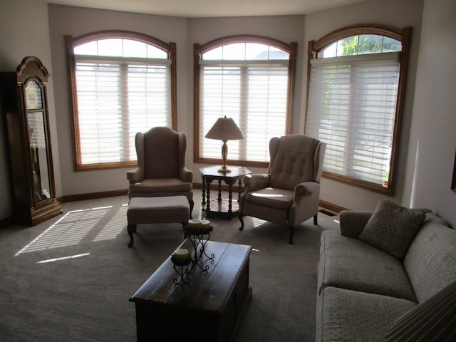 8032 Abbey Rd, Tinley Park, IL 60477 - living area with carpet and baseboards