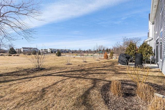 view of yard featuring a patio area