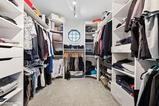 walk in closet with carpet flooring