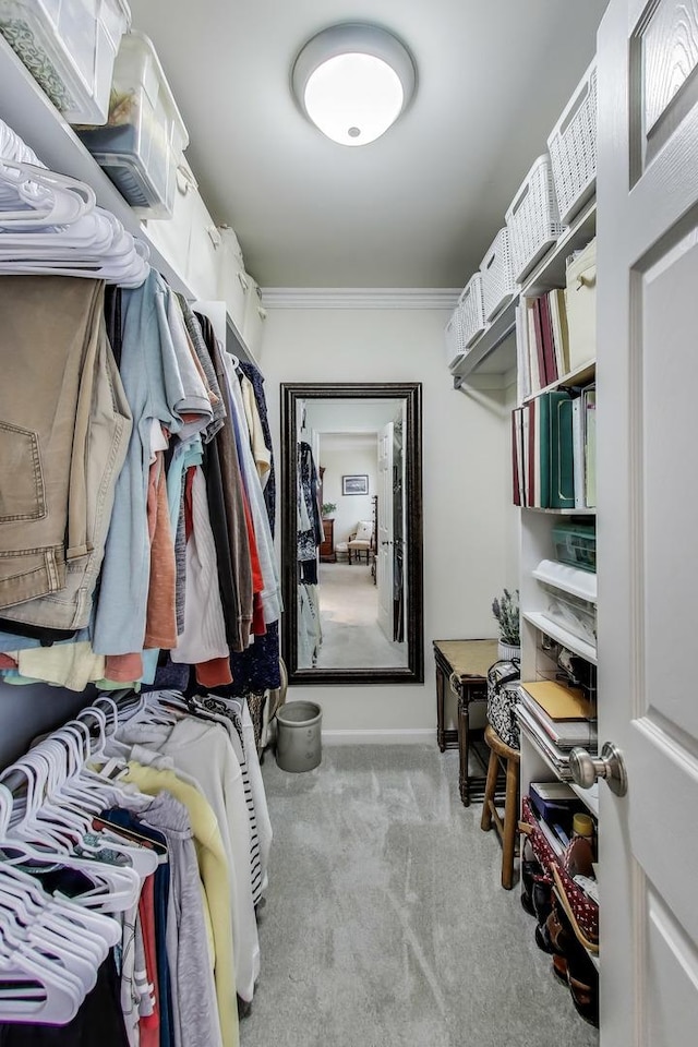 walk in closet with carpet floors