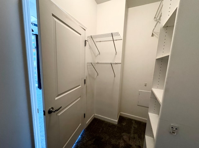 view of walk in closet