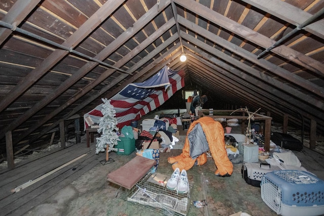 7940 S Oglesby Ave, Chicago, IL 60617 - view of attic