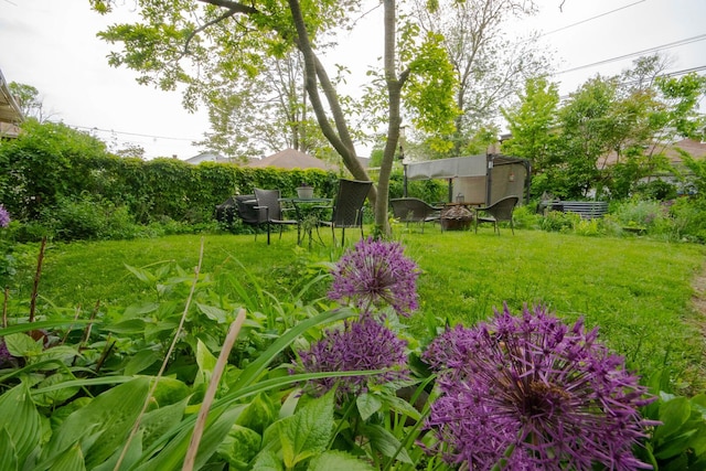 7940 S Oglesby Ave, Chicago, IL 60617 - view of green lawn
