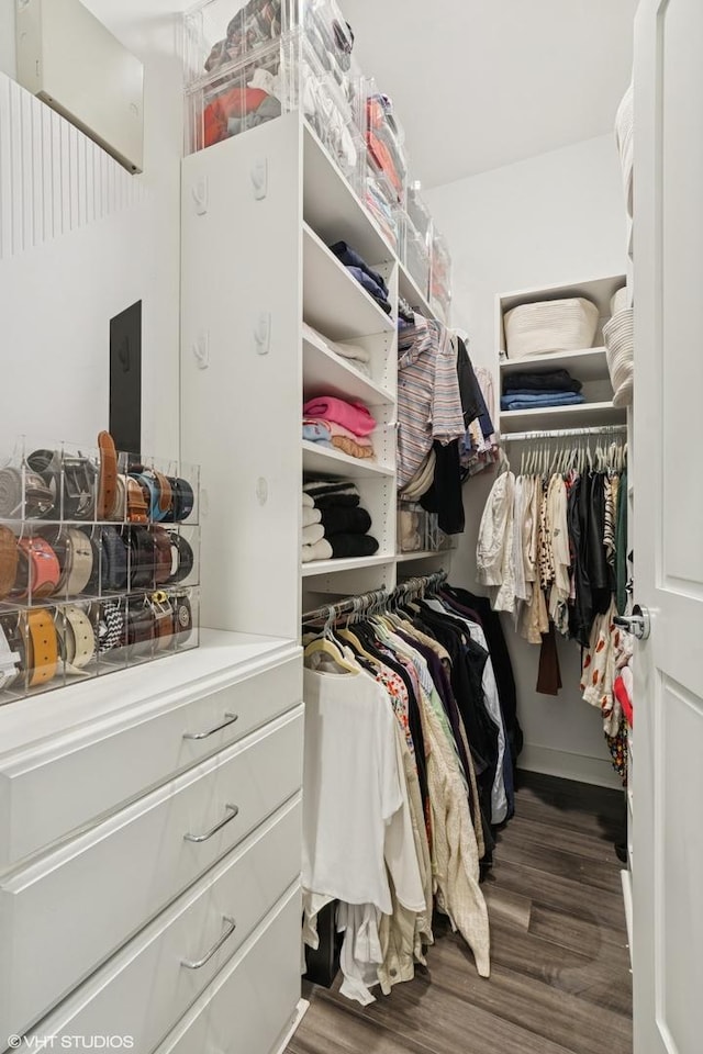 spacious closet featuring wood finished floors