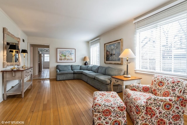 living area featuring light wood finished floors and a healthy amount of sunlight