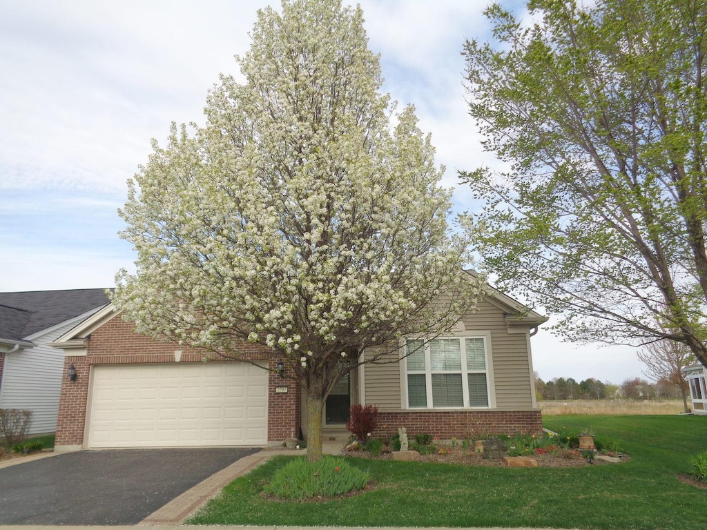 obstructed view of property featuring aphalt driveway, brick siding, an attached garage, and a front yard