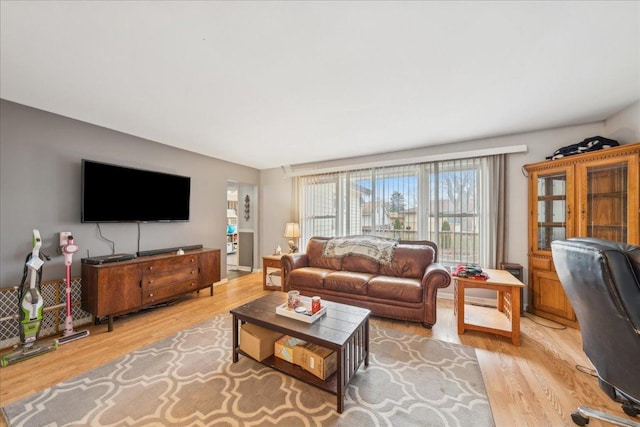 9 Forest Ln, Elk Grove Village, IL 60007 - living room featuring light wood-style floors