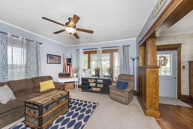 living area featuring ceiling fan, a wealth of natural light, and crown molding