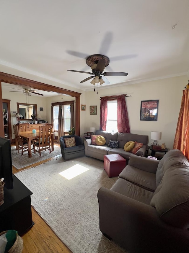 living area featuring ornamental molding, ceiling fan, and light wood finished floors