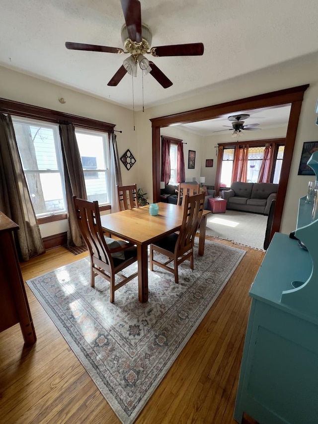 dining area featuring wood finished floors, a ceiling fan, and crown molding