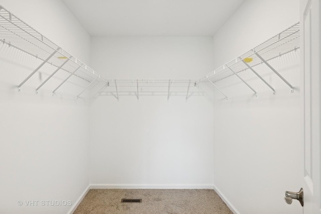 5912 Prairie Ridge Rd, Crystal Lake, IL 60014 - walk in closet featuring carpet