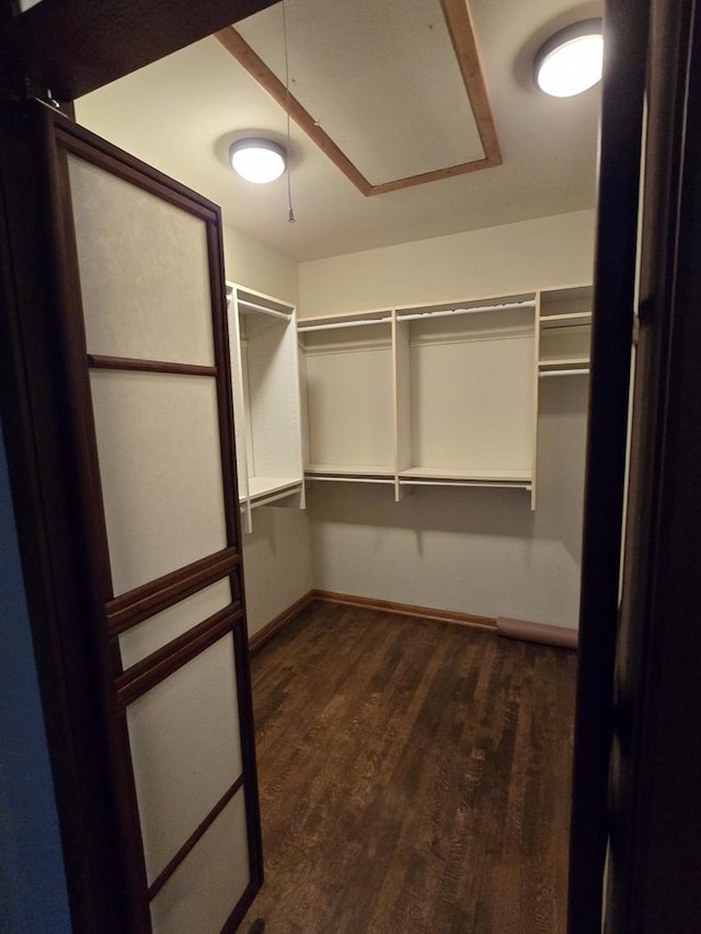 spacious closet featuring attic access and dark wood-style flooring