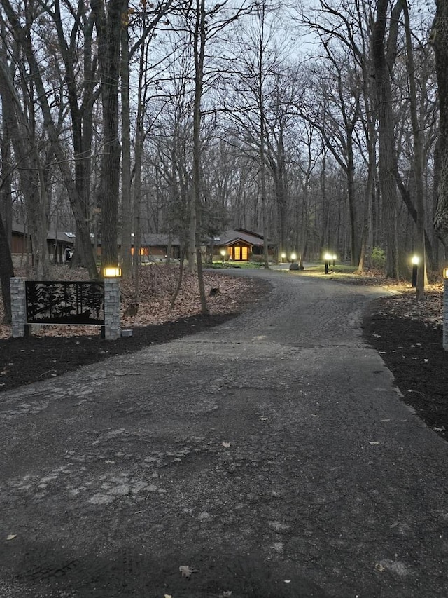 view of road with gravel driveway