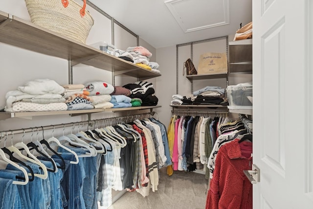 spacious closet with attic access and carpet floors