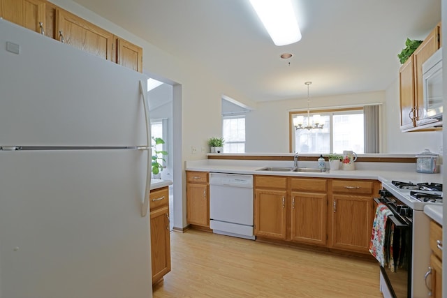 kitchen featuring white appliances, light countertops, a sink, and light wood finished floors