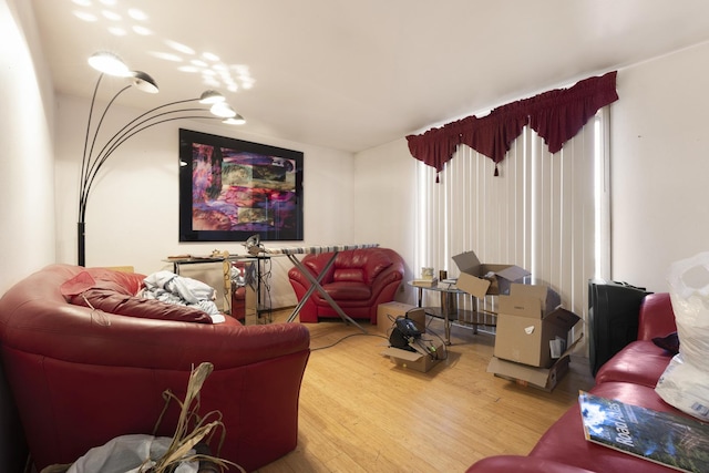 living area featuring wood finished floors