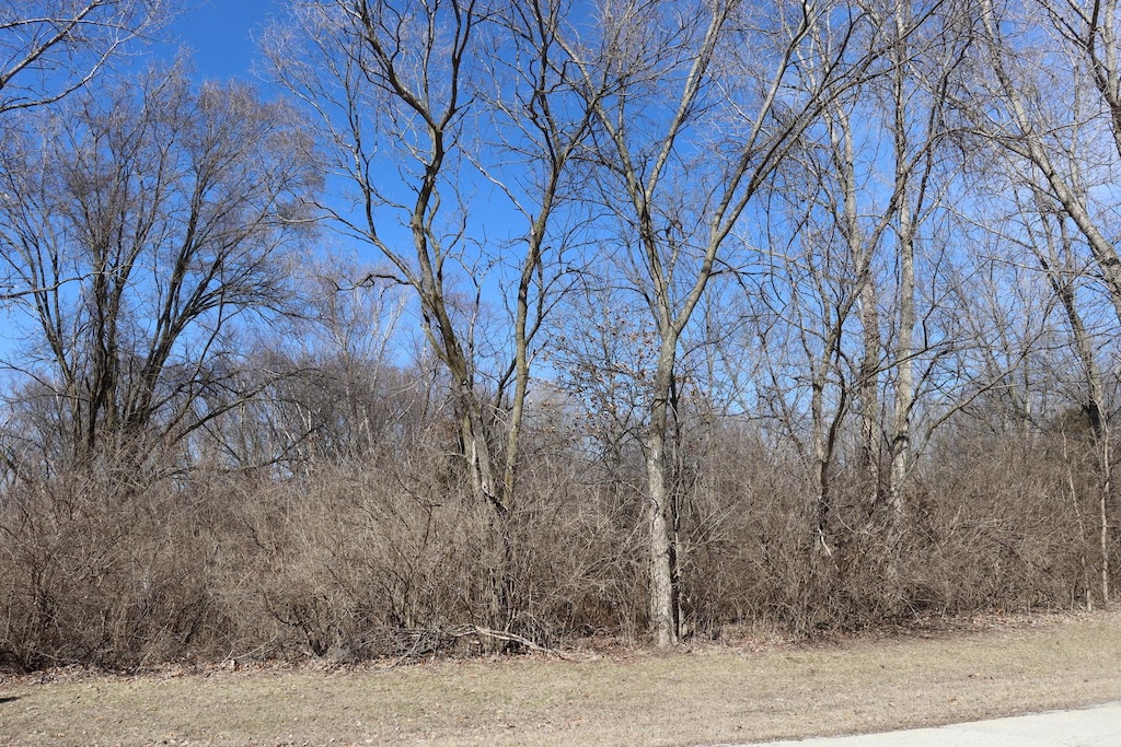 35 Birchwood Ln, Saint Anne, IL 60964 - photo 1