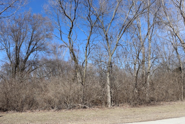 35 Birchwood Ln, Saint Anne IL, 60964 land for sale