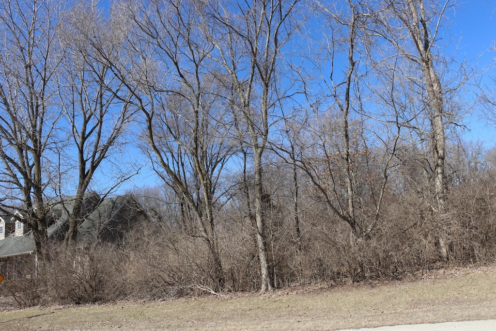 35 Birchwood Ln, Saint Anne, IL 60964 - photo 2