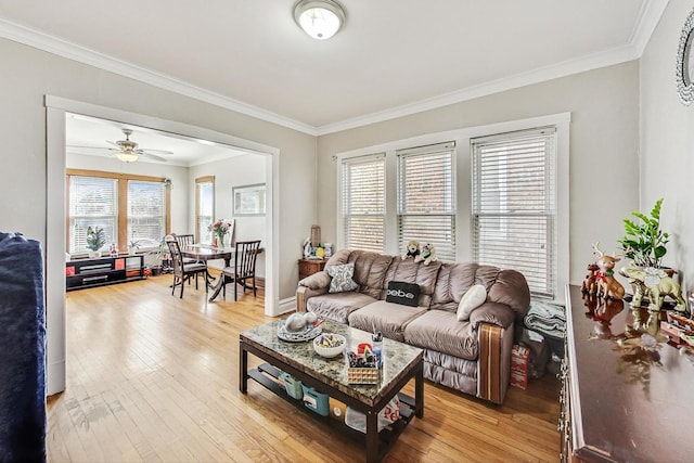 living room featuring crown molding, light wood finished floors, and ceiling fan