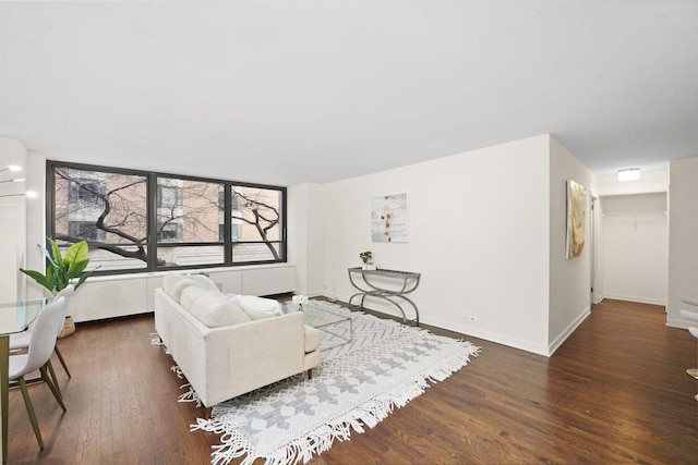 living room featuring baseboards and wood finished floors